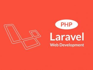 PHP Laravel Developer